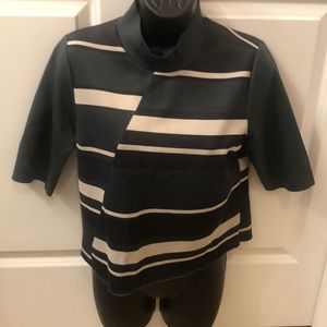 Cropped Stretchy Top